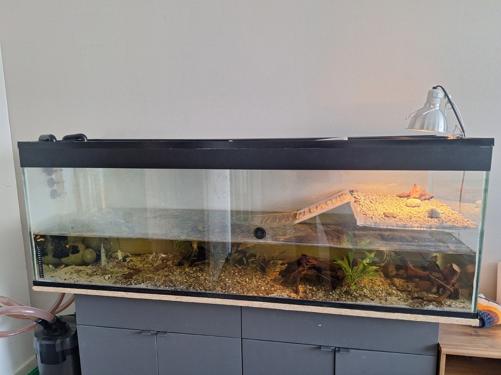 Aquarium 160x50x60, Ophalen, Gebruikt