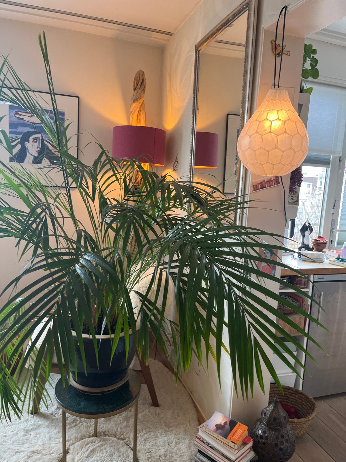 Grote palm met of zonder pot, Ophalen, 100 tot 150 cm, Palm, Halfschaduw