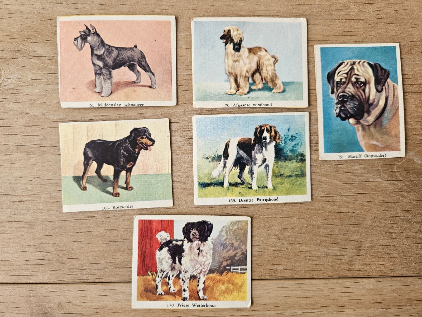 Vintage hondenplaatjes - diverse rassen, Ophalen of Verzenden, Gebruikt, Hond of Kat, Overige typen