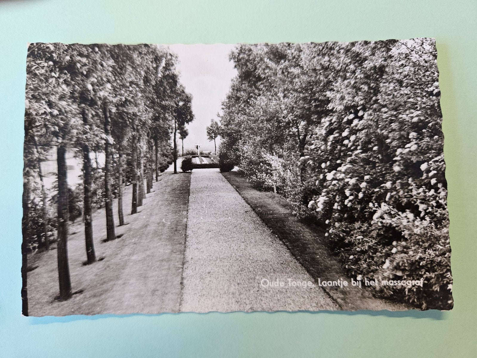 56) Laantje bij het massagraf oude Tonge, Ophalen of Verzenden, Ongelopen, Zuid-Holland