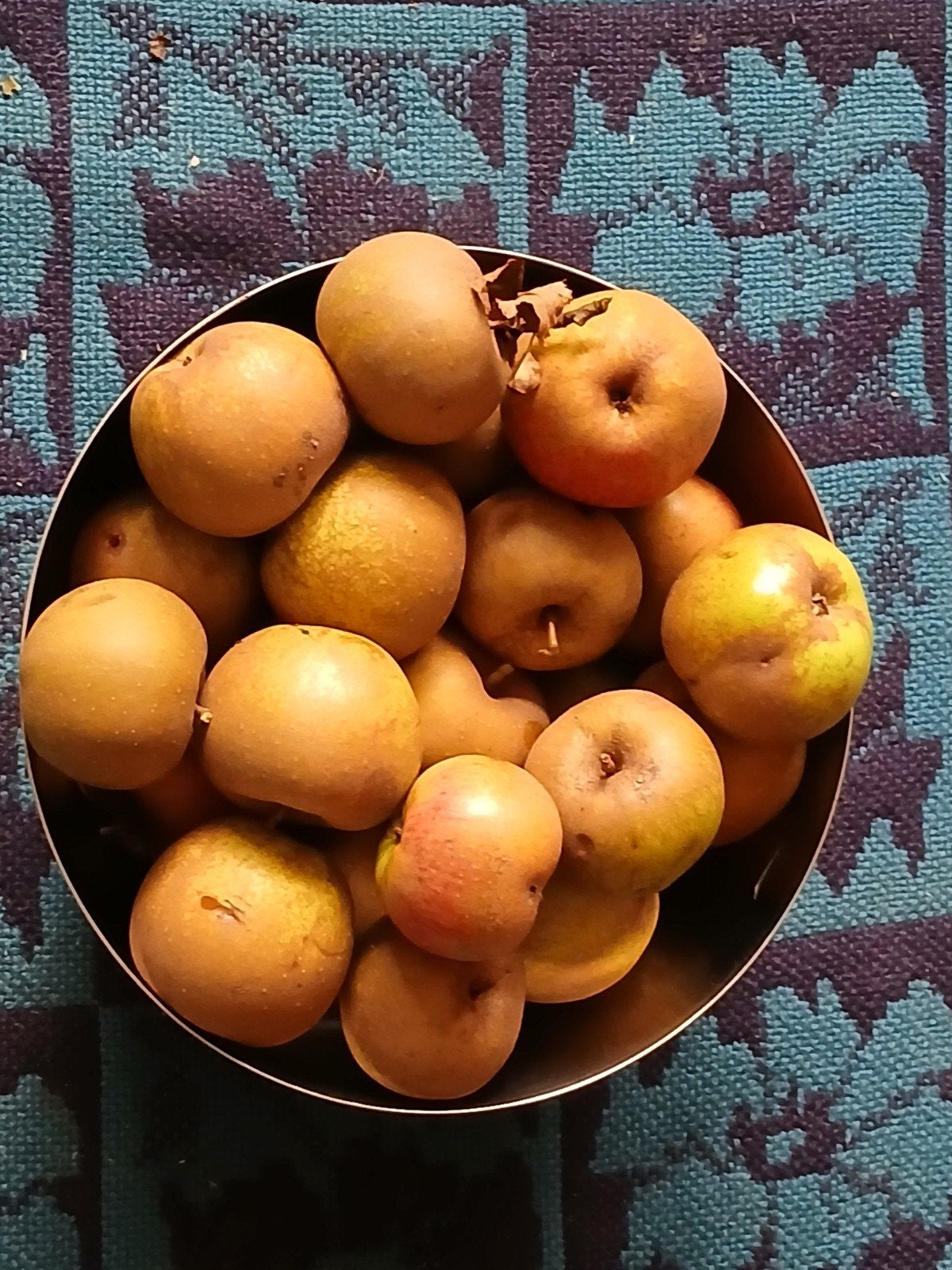 ONBESPOTEN APPELS.( RODE BOSKOOP ?), Ophalen of Verzenden
