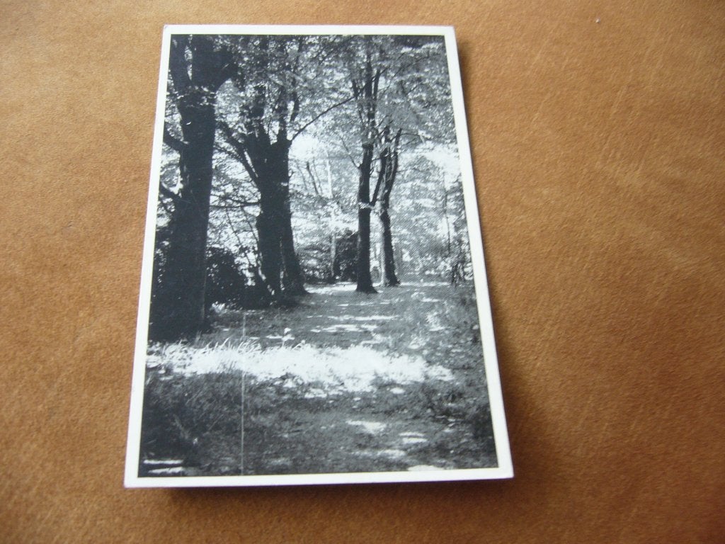DE STEEG, Ophalen of Verzenden, 1940 tot 1960, Gelopen, Gelderland