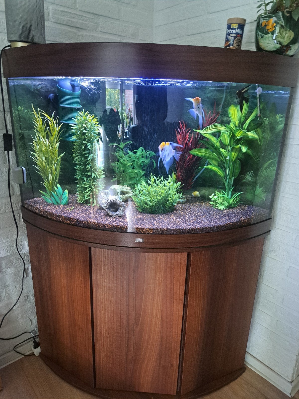 Te  koop Juwel 190l hoek aquarium, Dieren en Toebehoren, Ophalen, Pomp, Juwel, Gevuld zoetwateraquarium