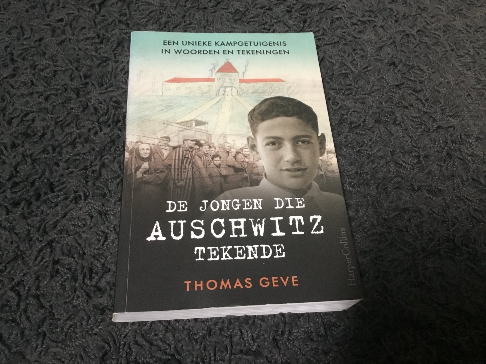 De Jongen Die Auschwitz Tekende - Thomas Geve, Ophalen of Verzenden, Tweede Wereldoorlog, Gelezen, Algemeen