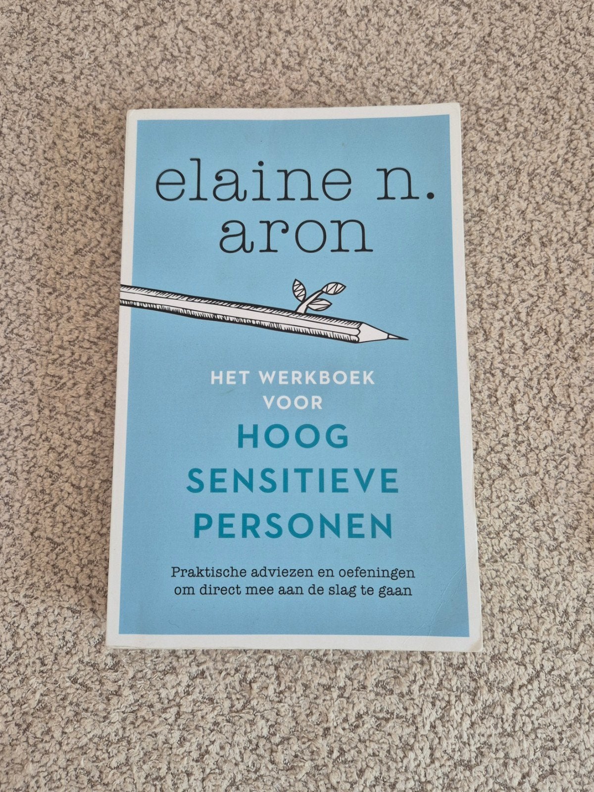 Elaine N. Aron - Het werkboek voor hoogsensitieve personen, Ophalen of Verzenden, Zo goed als nieuw, Elaine N. Aron