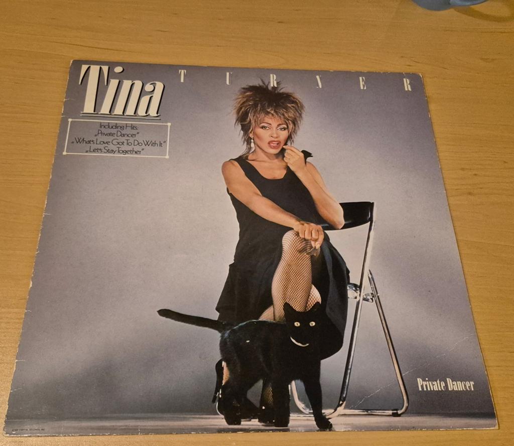 Lp Tina Turner / Private Dancer, Cd's en Dvd's, Vinyl | Pop, Ophalen of Verzenden, 1980 - 1989, Gebruikt, 12 inch