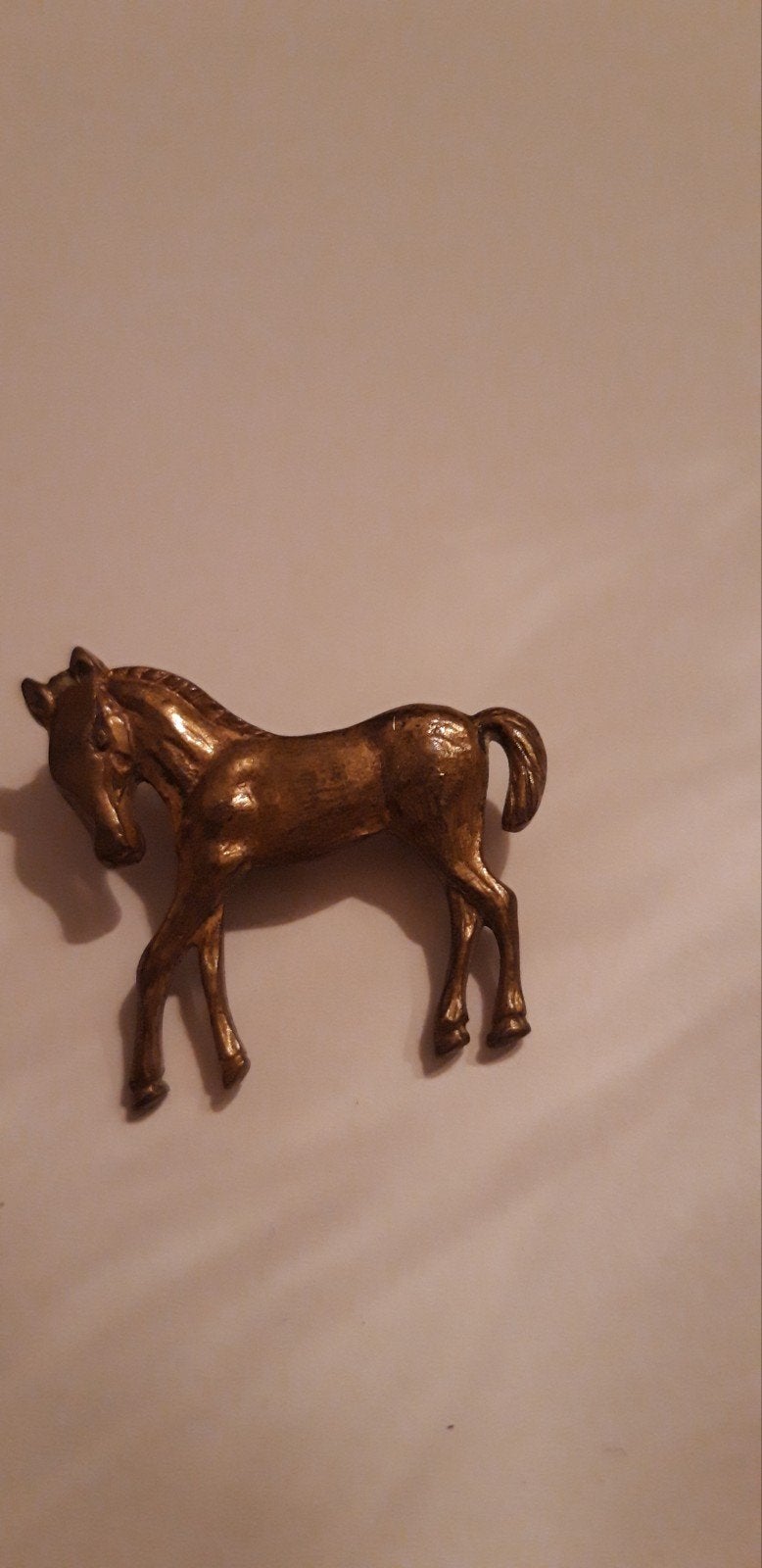 Broche paardje, Sieraden, Tassen en Uiterlijk, Broches, Ophalen of Verzenden, Gebruikt, Overige materialen