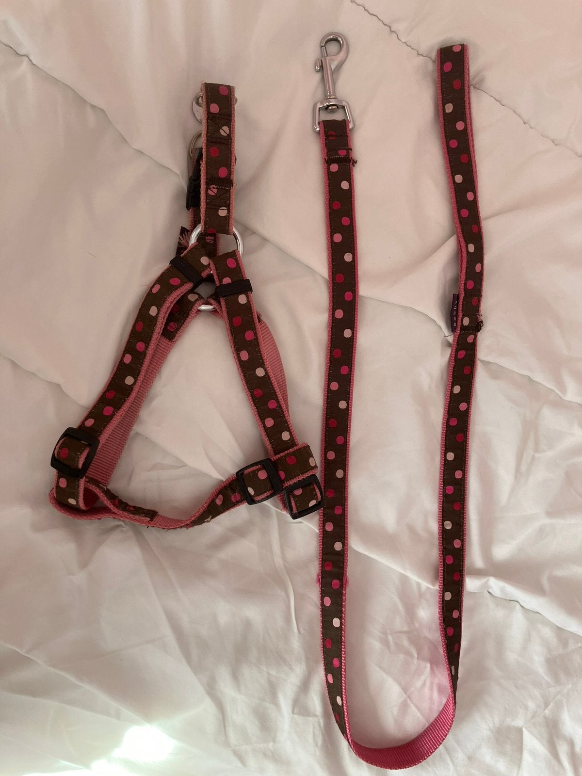 Nette honden tuigje met riem bobby voor middenslag hond, Dieren en Toebehoren, Honden-accessoires, Overige merken, Ophalen of Verzenden