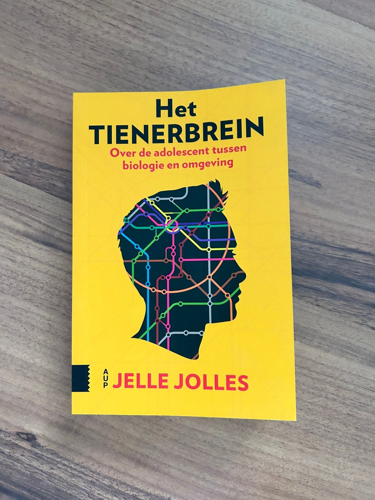 Het tienerbrein - 9789048534500, Boeken, Zo goed als nieuw, Jelle Jolles, Beta, HBO