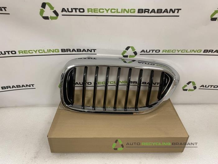 Grille van een BMW 5-Serie, Gebruikt, -, -, Ophalen of Verzenden