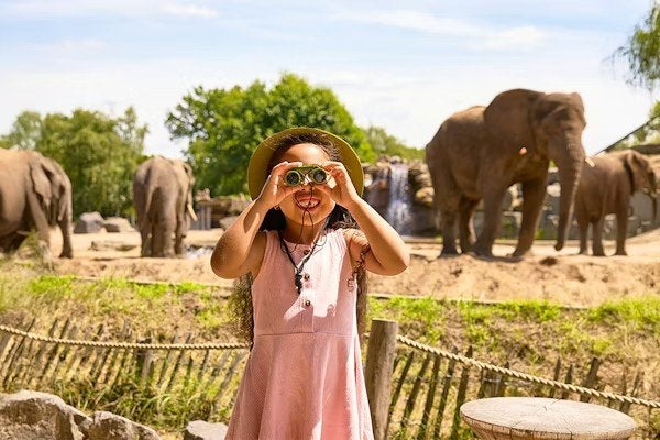 6 e-tickets Safaripark Beeksebergen, Tickets en Kaartjes, Recreatie | Dierentuinen, Drie personen of meer, Ticket of Toegangskaart