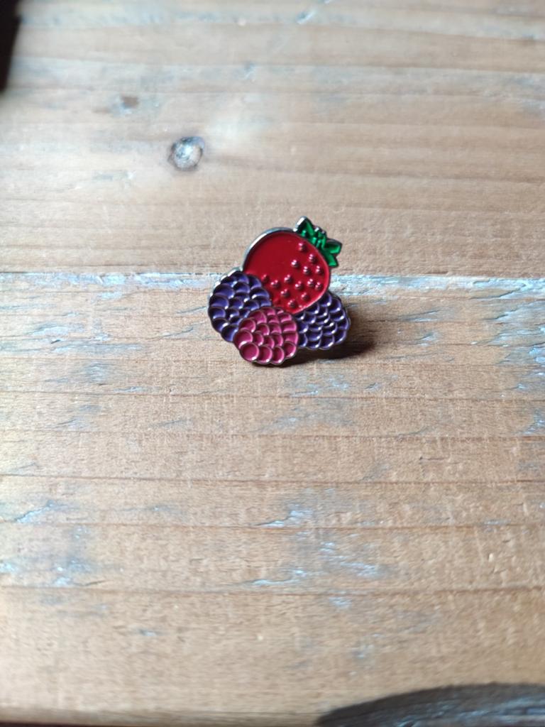 Leuke fruit pin - aardbei en bramen, Verzenden, Zo goed als nieuw, Overige onderwerpen, Speldje of Pin