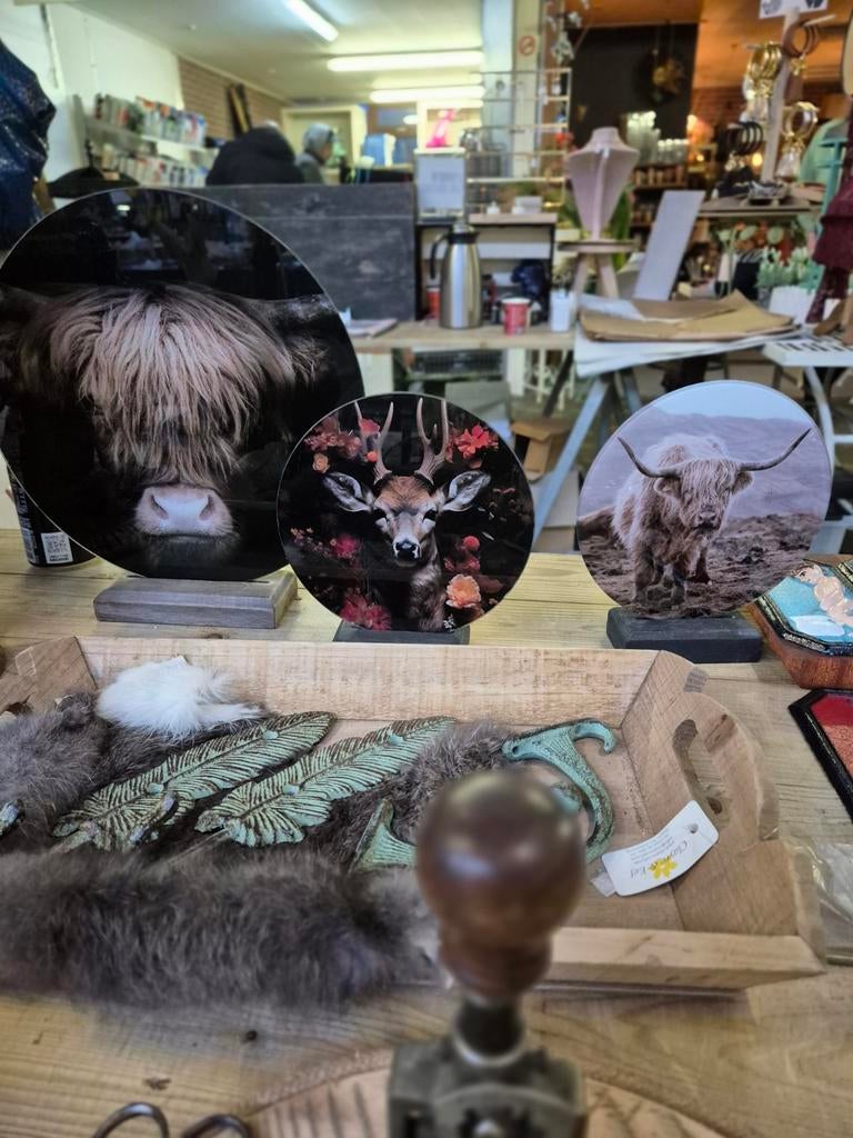 Glazen cirkels op voet met dierenprint decoratie, Onbekend@voorbeeld.com, Onbekend, Ophalen of Verzenden, Zo goed als nieuw