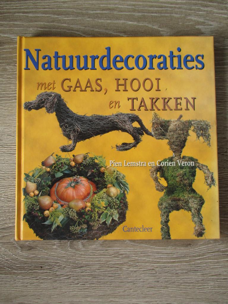 Natuurdecoraties met gaas, hooi en takken - Pien Lemstra e, Ophalen of Verzenden, Gelezen, Overige onderwerpen