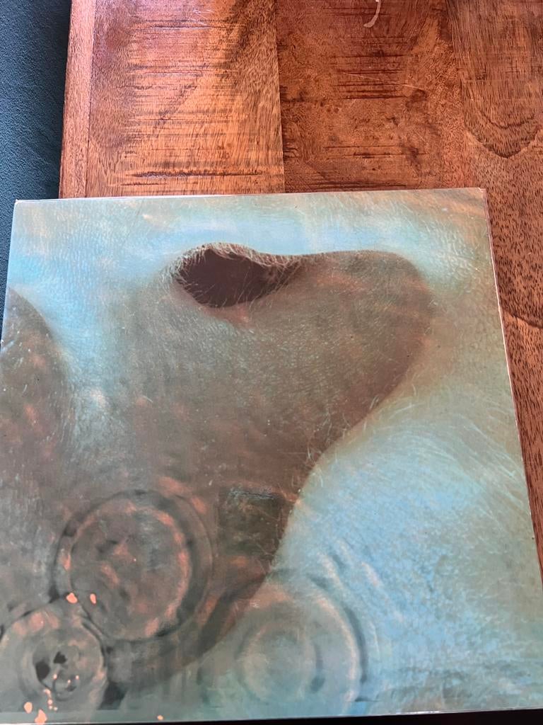 Pink Floyd Meddle LP. Vroege NL persing, Cd's en Dvd's, Vinyl | Rock, Ophalen of Verzenden, Zo goed als nieuw, 12 inch, Progressive