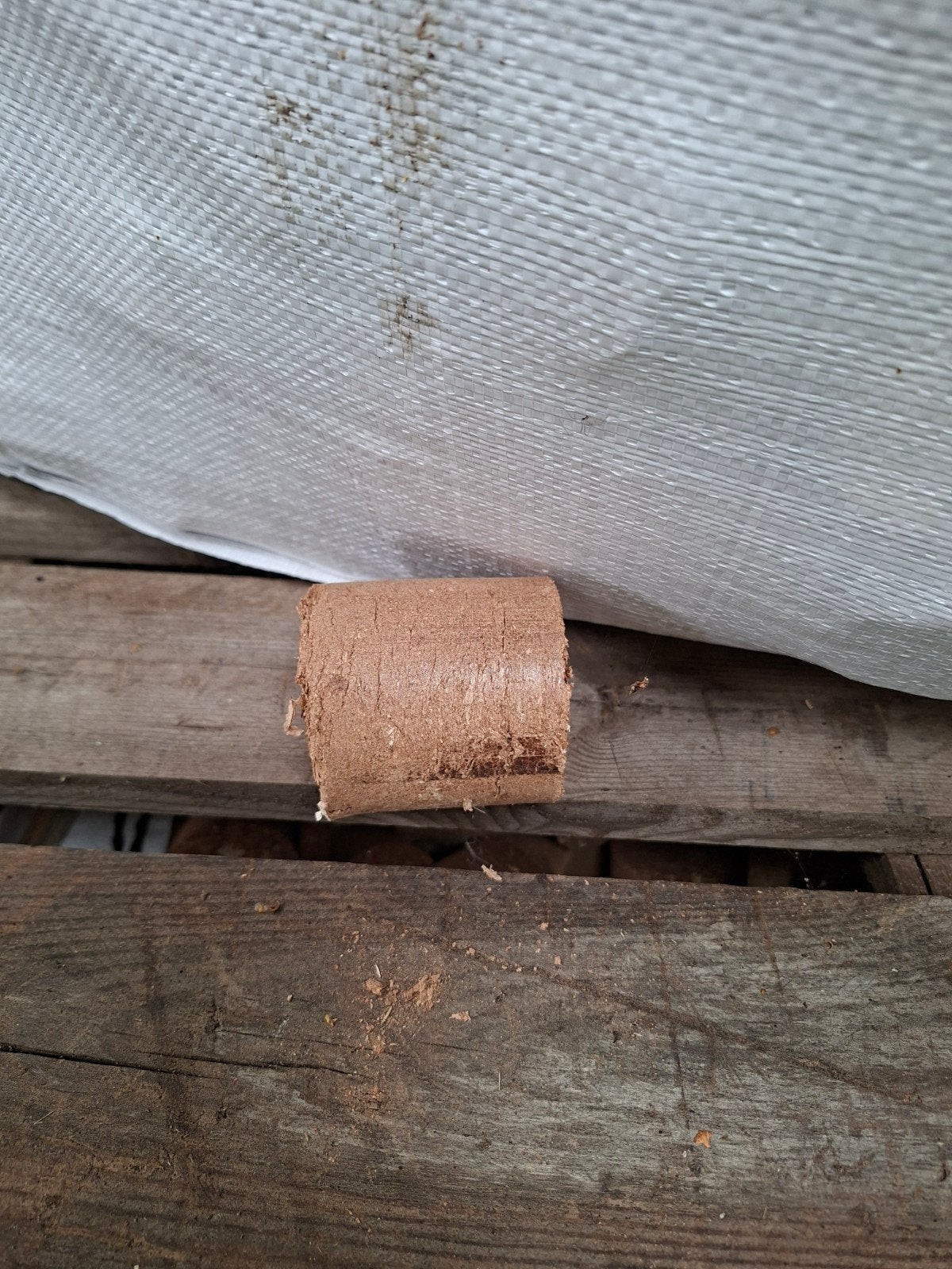 Houtbriketten voor kachel of vuurkorf, 6 m³ of meer, Ophalen, Overige houtsoorten, Blokken