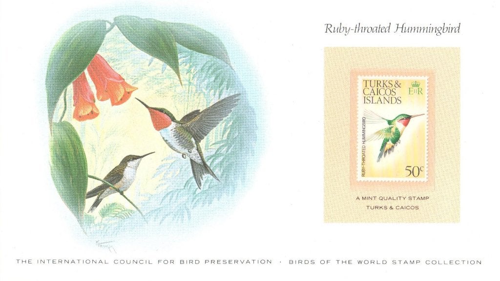 Geïllustreerde kaart + postzegel v/d Hummingbird, Ophalen of Verzenden, Postfris, Dier of Natuur
