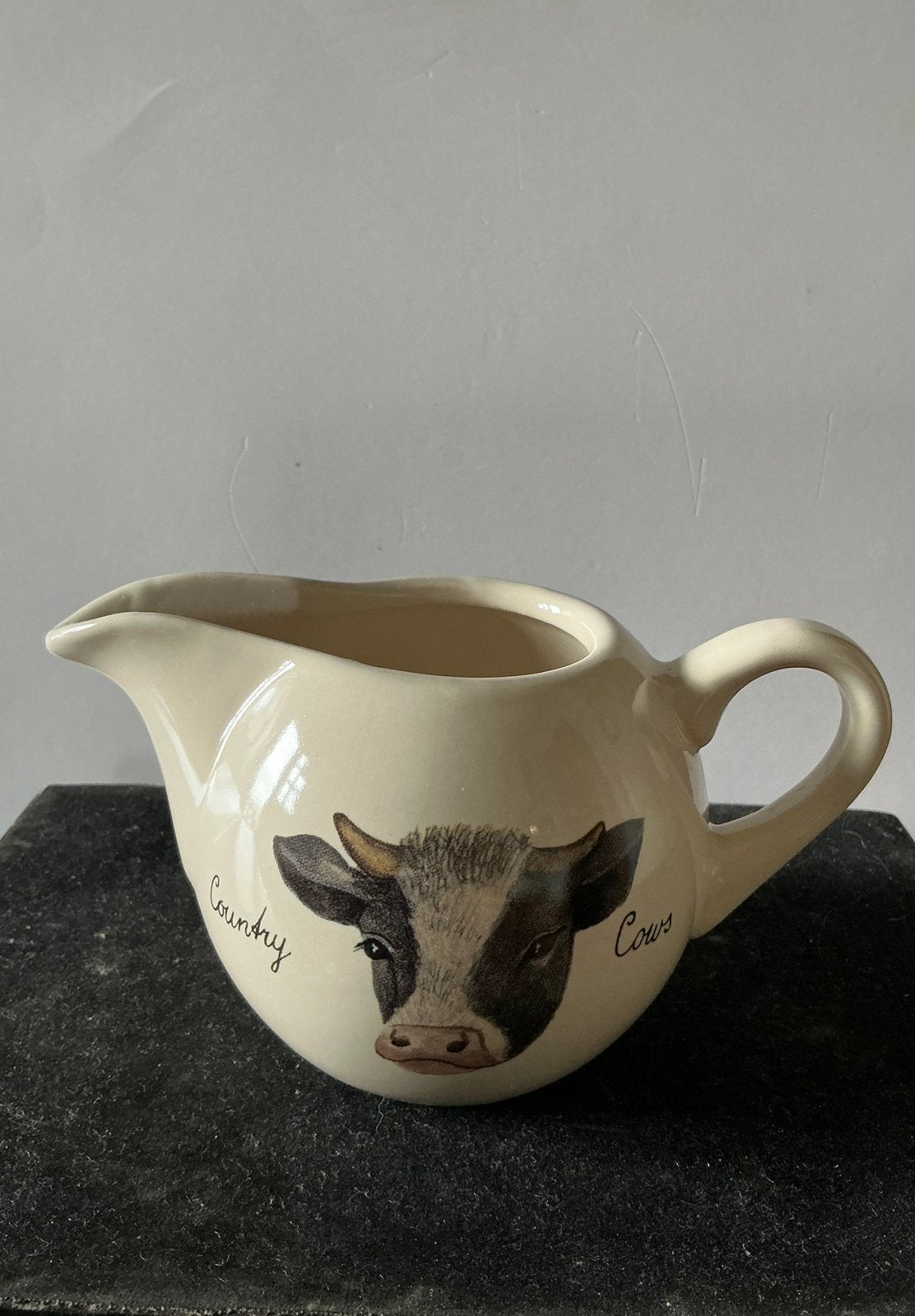 Een Jet ter Steege melkkannetje. Country Cows Koeien servies, Overige typen, Ophalen of Verzenden, Zo goed als nieuw, Overige stijlen