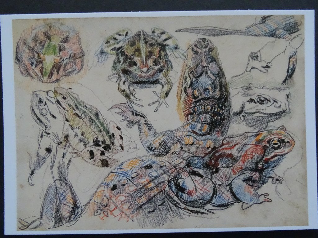 Martin Monnickendam (1874-1943) /Studie van Krokodil- Padden, Ophalen of Verzenden, 1940 tot 1960, Ongelopen, Sterren en Beroemdheden