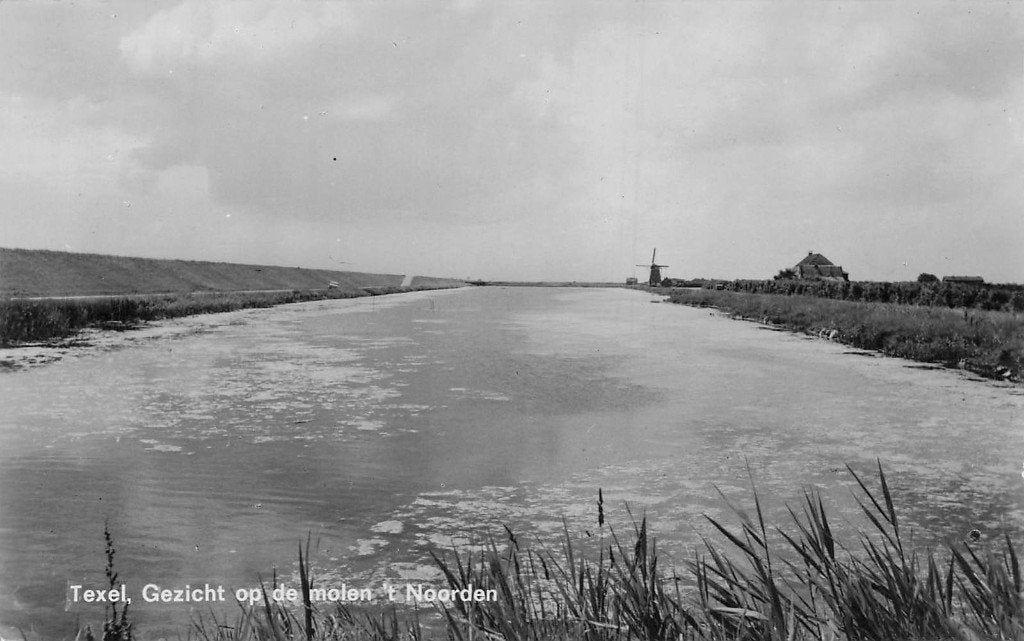 Texel - Met vergezicht op molen 't Noord (1967), Ophalen of Verzenden, 1960 tot 1980, Ongelopen, Waddeneilanden