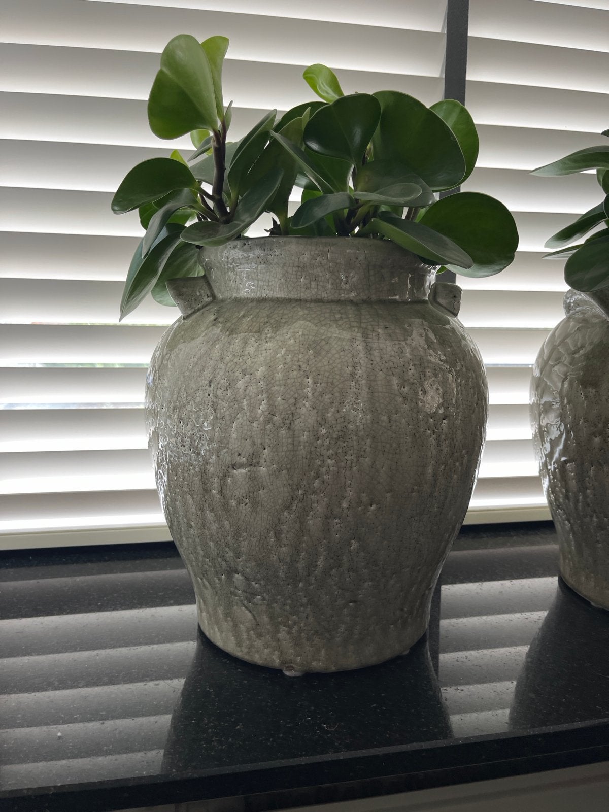 Brynxz vaas inclusief plant - Zo goed als nieuw, Inclusief decoratie, Ophalen of Verzenden, Zo goed als nieuw, Grijs