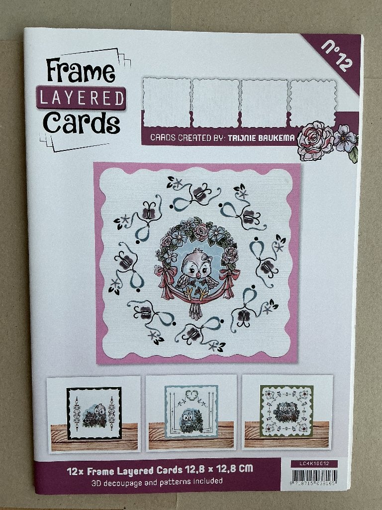 Frame layered cards boek, Ophalen of Verzenden, Nieuw, Overige thema's, Overige typen