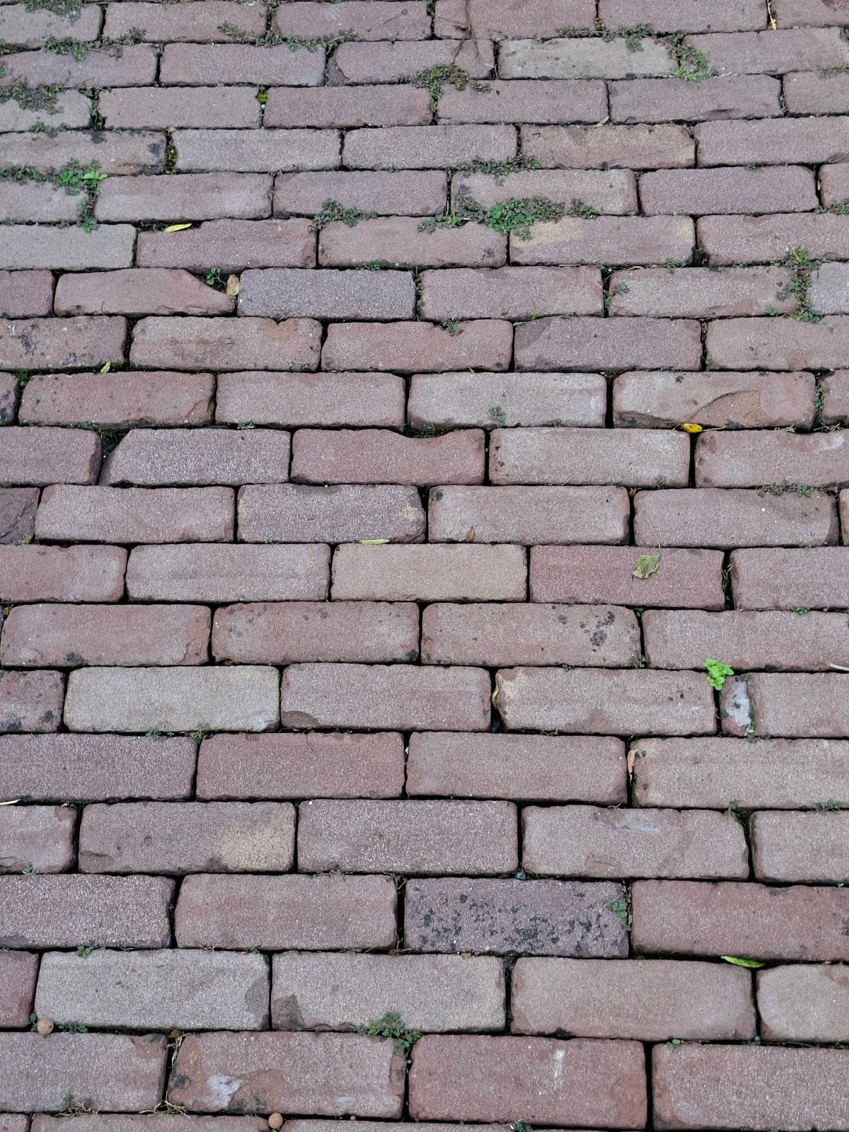 gebakken klinkers dikformaat 58 m2 op pallets, Ophalen, Gebruikt, Keramiek, Klinkers