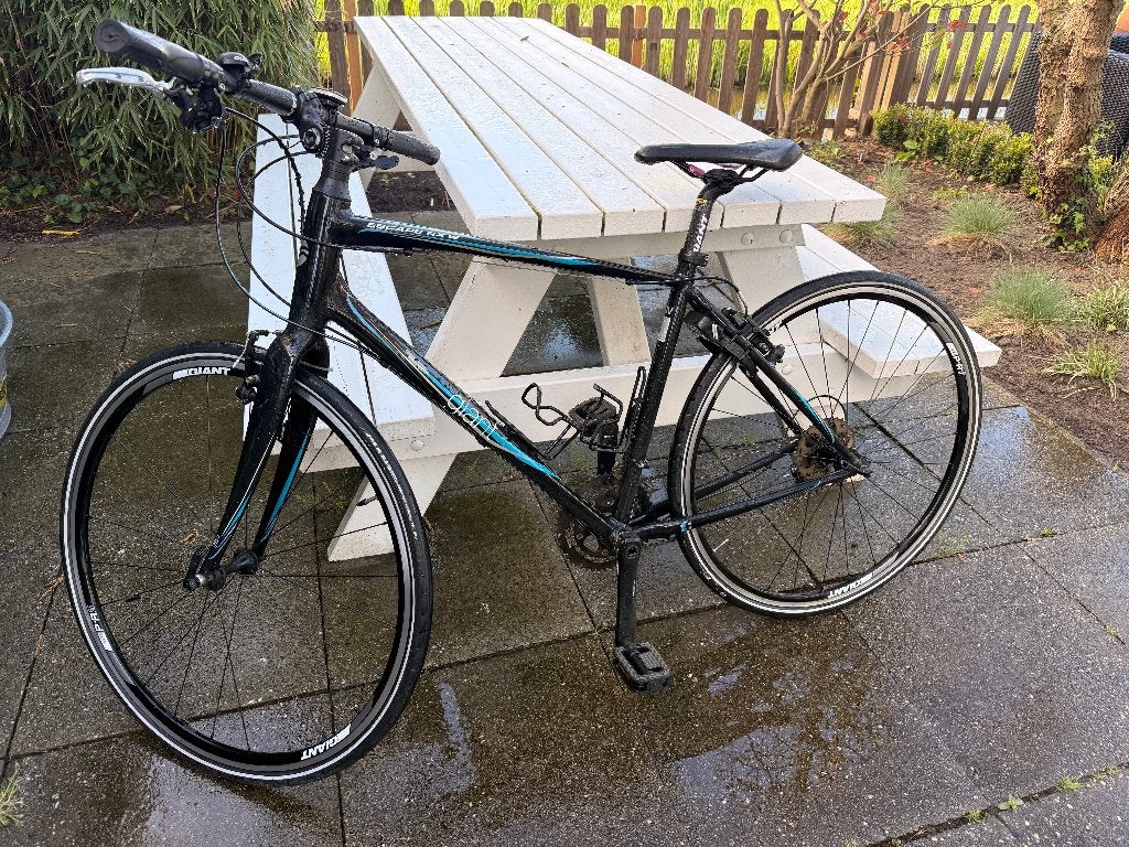 ZGAN Giant Escape RX W Damesfiets - 44 cm (new € 1.000), Ophalen, Velgrem, Versnellingen, Giant