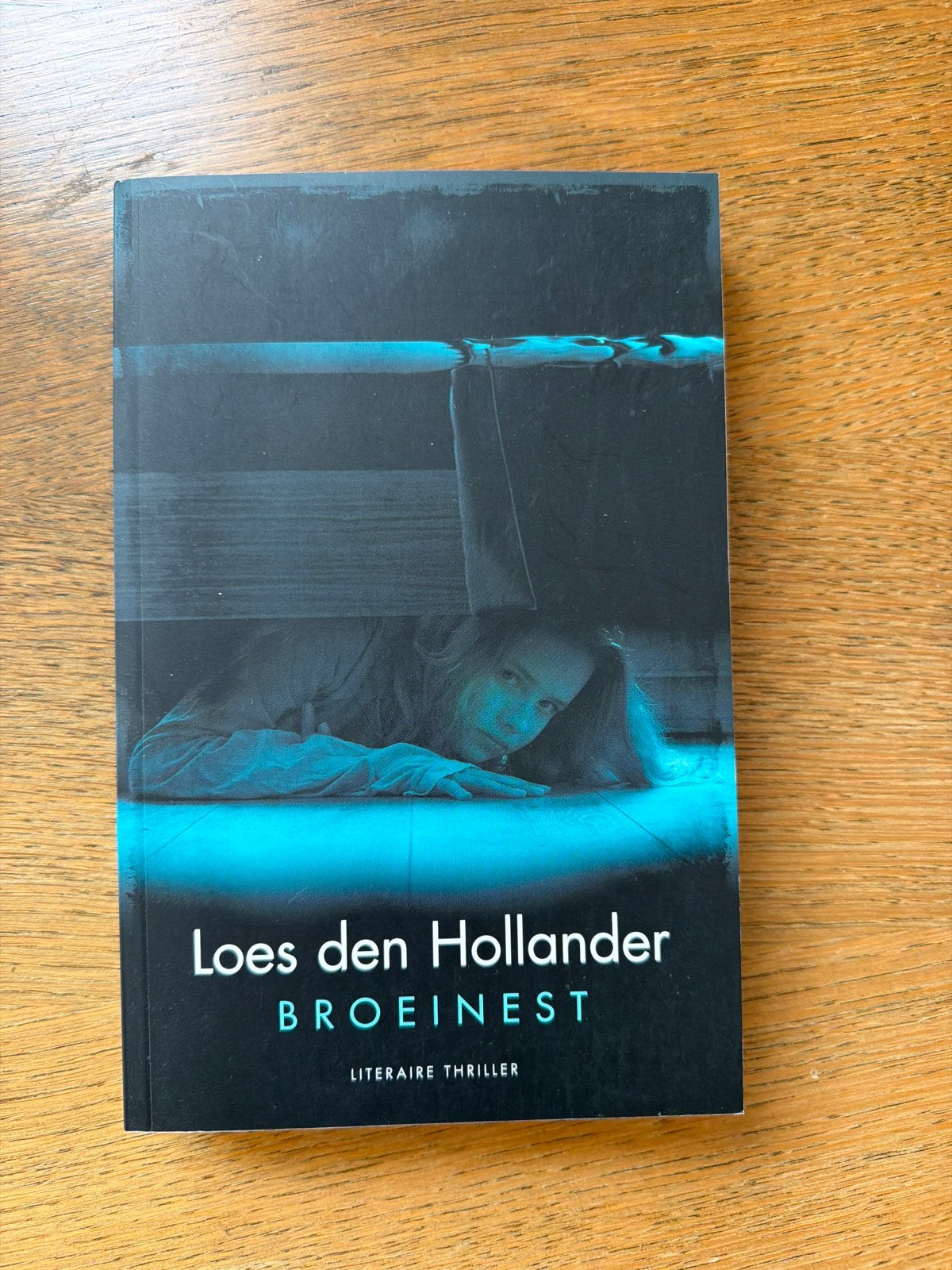 Broeinest - Literaire thriller van Loes den Hollander, Boeken, Ophalen of Verzenden, Gelezen