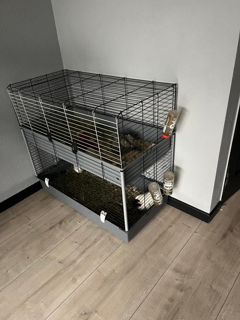 Dubbele knaagdieren kooi, Dieren en Toebehoren, Knaagdieren en Konijnen | Hokken en Kooien, Ophalen, Kooi, Gebruikt, 60 tot 90 cm