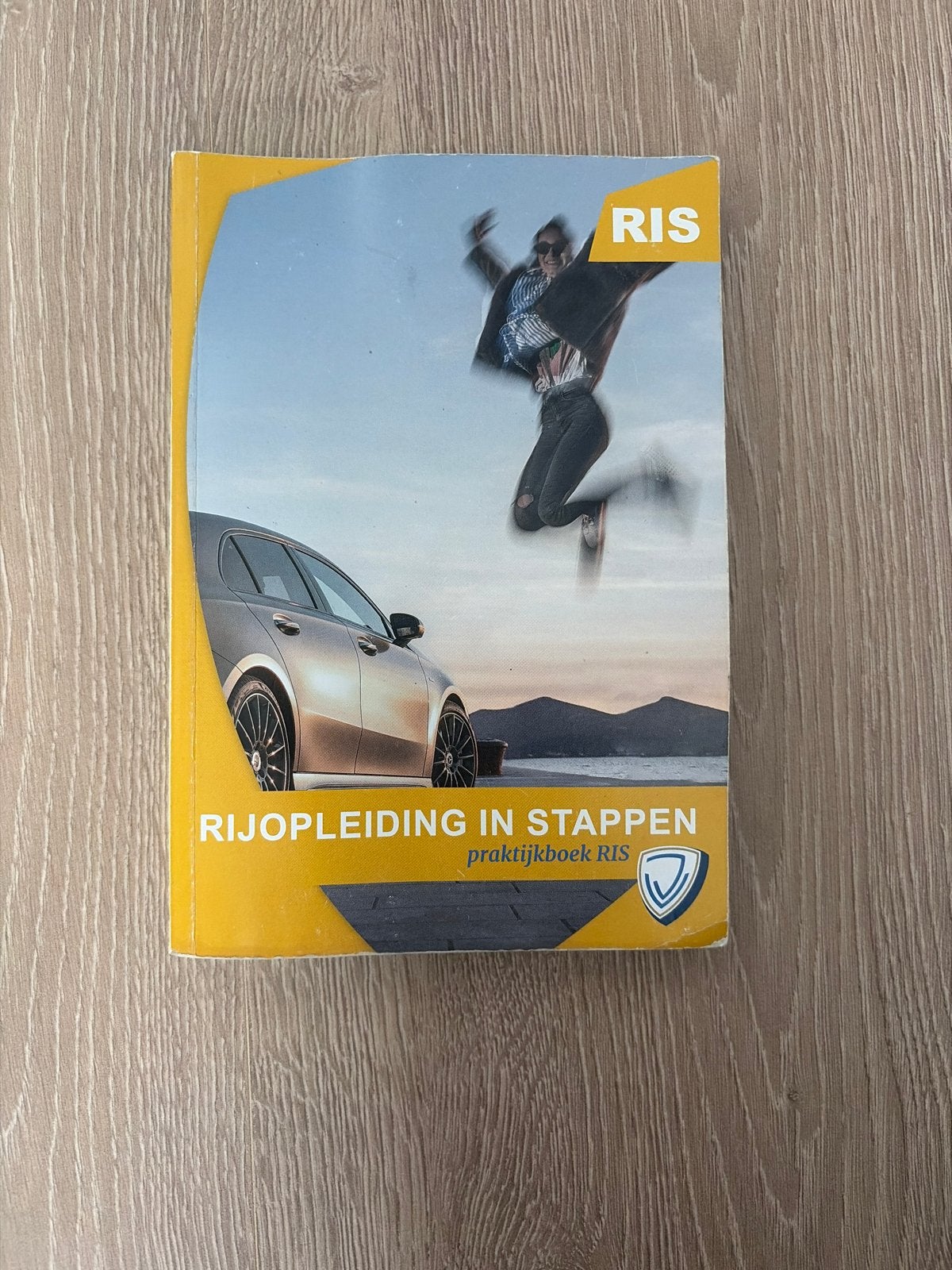 Rijopleiding in Stappen (RIS) Praktijkboek B, Boeken, Ophalen of Verzenden, Gelezen, Overige niveaus