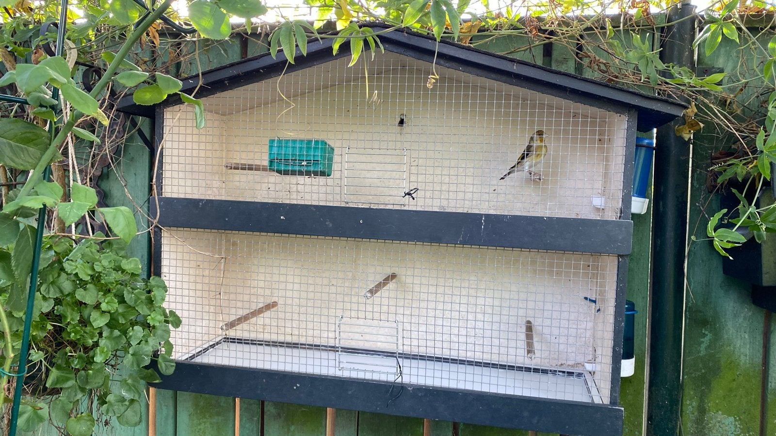Tweedelige vogelkooi., Dieren en Toebehoren, Ophalen of Verzenden, Gebruikt, Hout, Vogelkooi