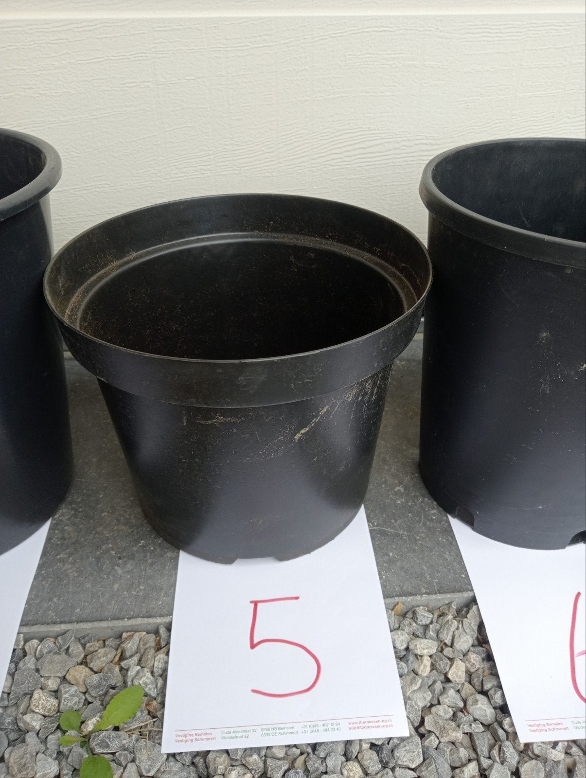 bloem teelpot, Ophalen, Kunststof, Rond, Minder dan 40 cm
