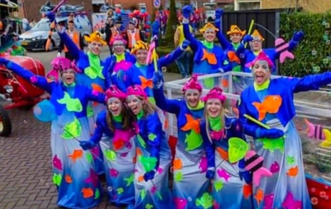 Complete Vissenpakken (XS t/m XXL) loopgroep 2e prijs, Ophalen of Verzenden, Carnaval