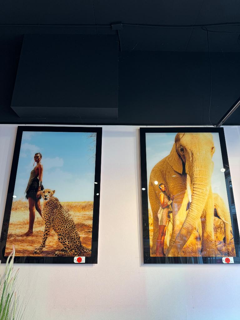 Cobra Art, Antiek en Kunst, Ophalen of Verzenden
