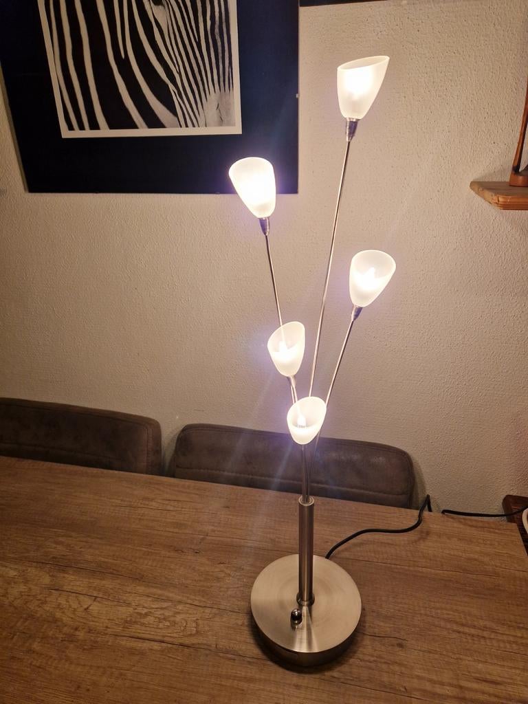 Jan des Bouvrie - Originele lamp:, Antiek en Kunst, Ophalen of Verzenden