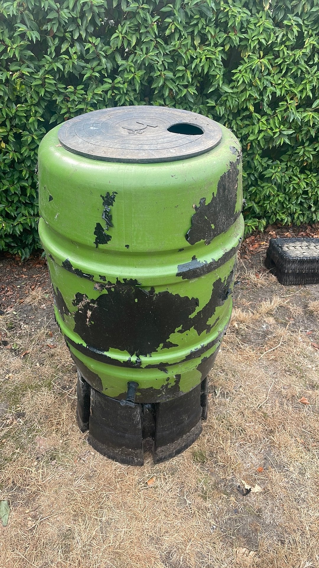 Gratis regenton groen/zwart 168 liter, 150 liter of meer, Ophalen, Gebruikt