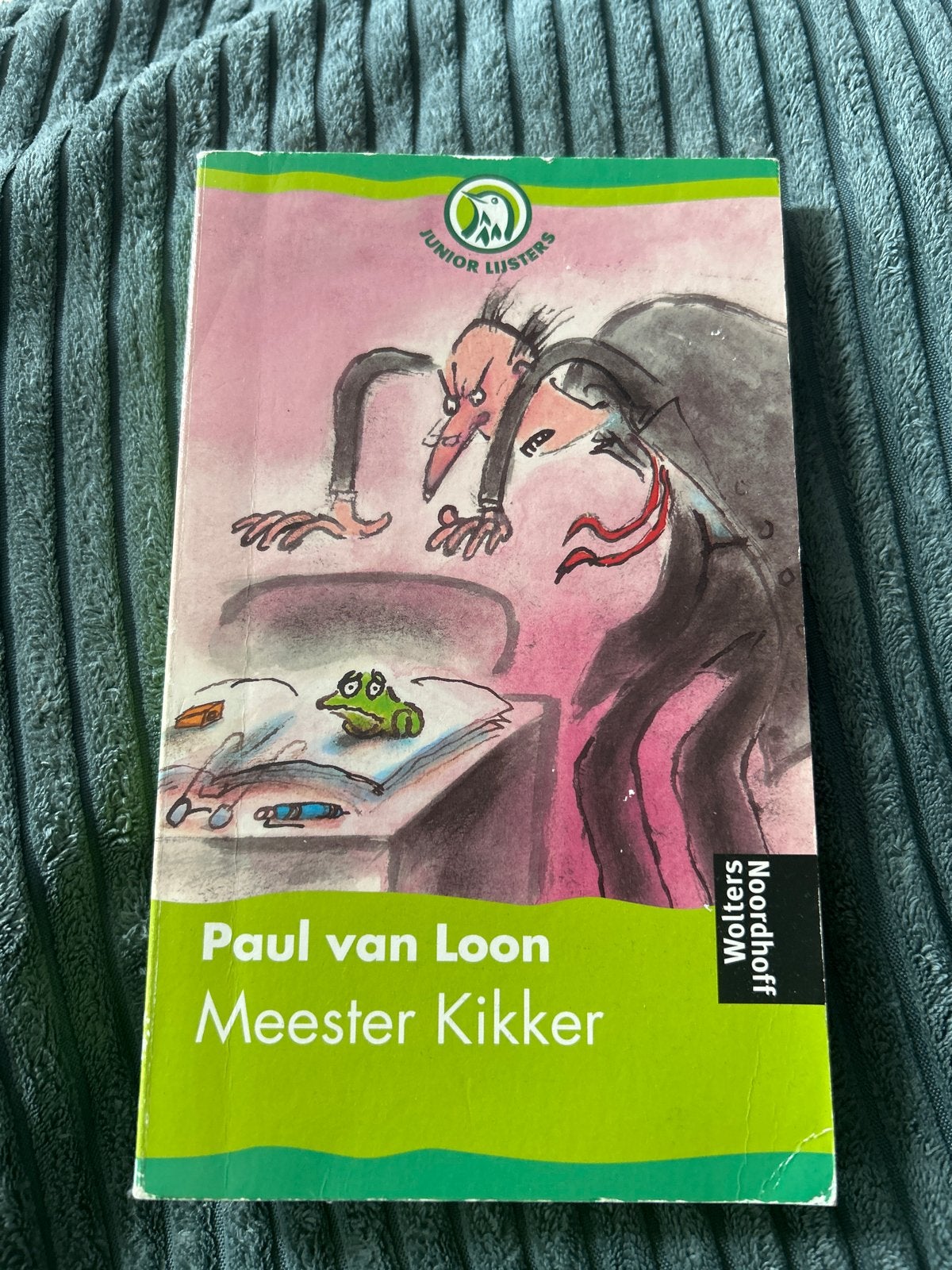 Meester Kikker - Paul van Loon (Junior Lijsters), Boeken, Kinderboeken | Jeugd | 10 tot 12 jaar, Gelezen, Fictie, Ophalen of Verzenden