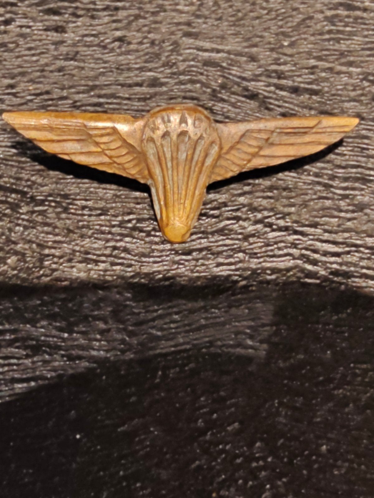 parawing embleem, Ophalen of Verzenden, Overige materialen