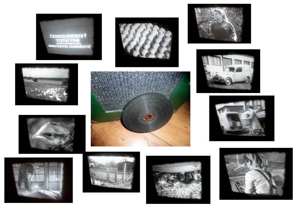 16mm film fokken van kippen - jaren 50-60 doc. zw/w geluid, Ophalen of Verzenden, 16mm film