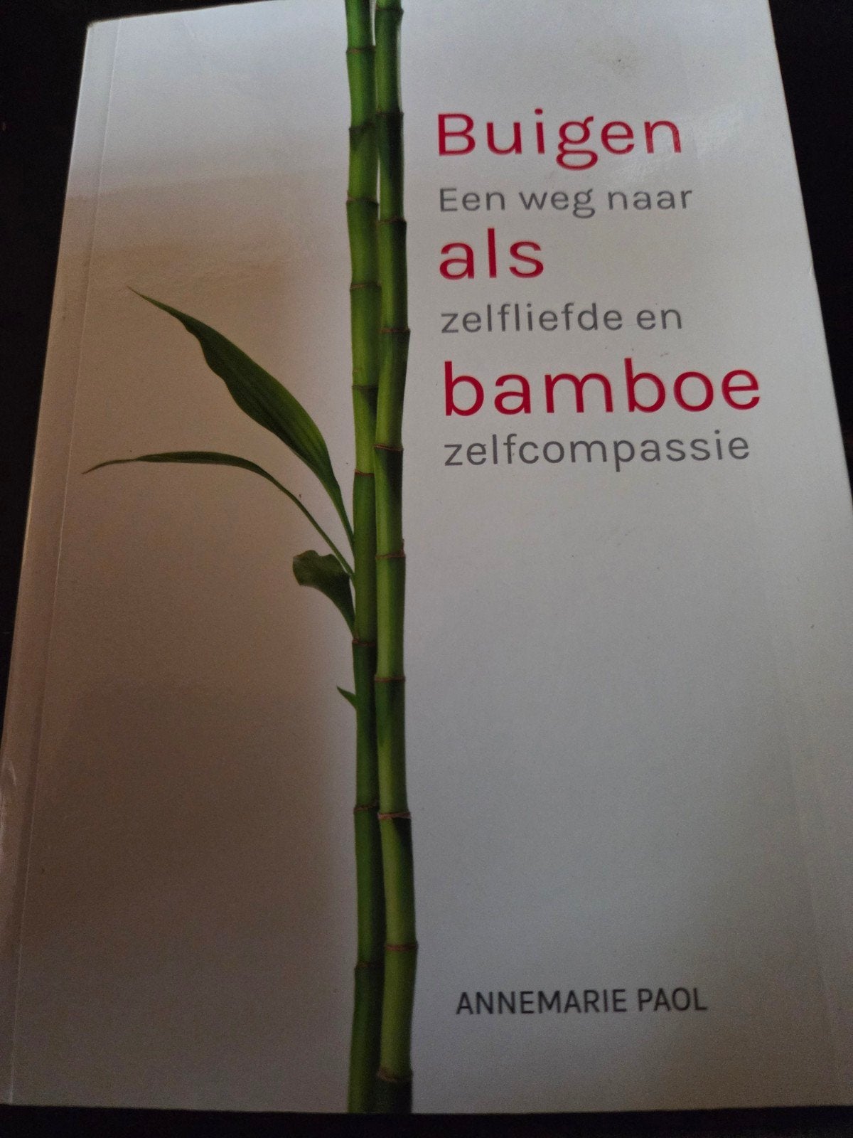 Buigen als bamboe, Boeken, Ophalen of Verzenden, Zo goed als nieuw