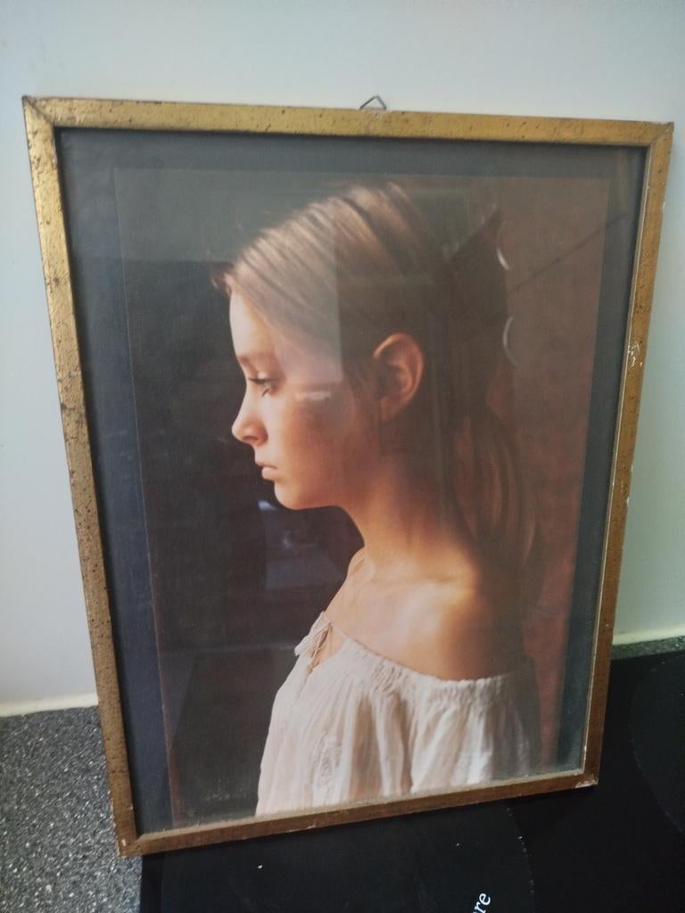 Lijsten blaadvergoud, Antiek en Kunst, Ophalen of Verzenden