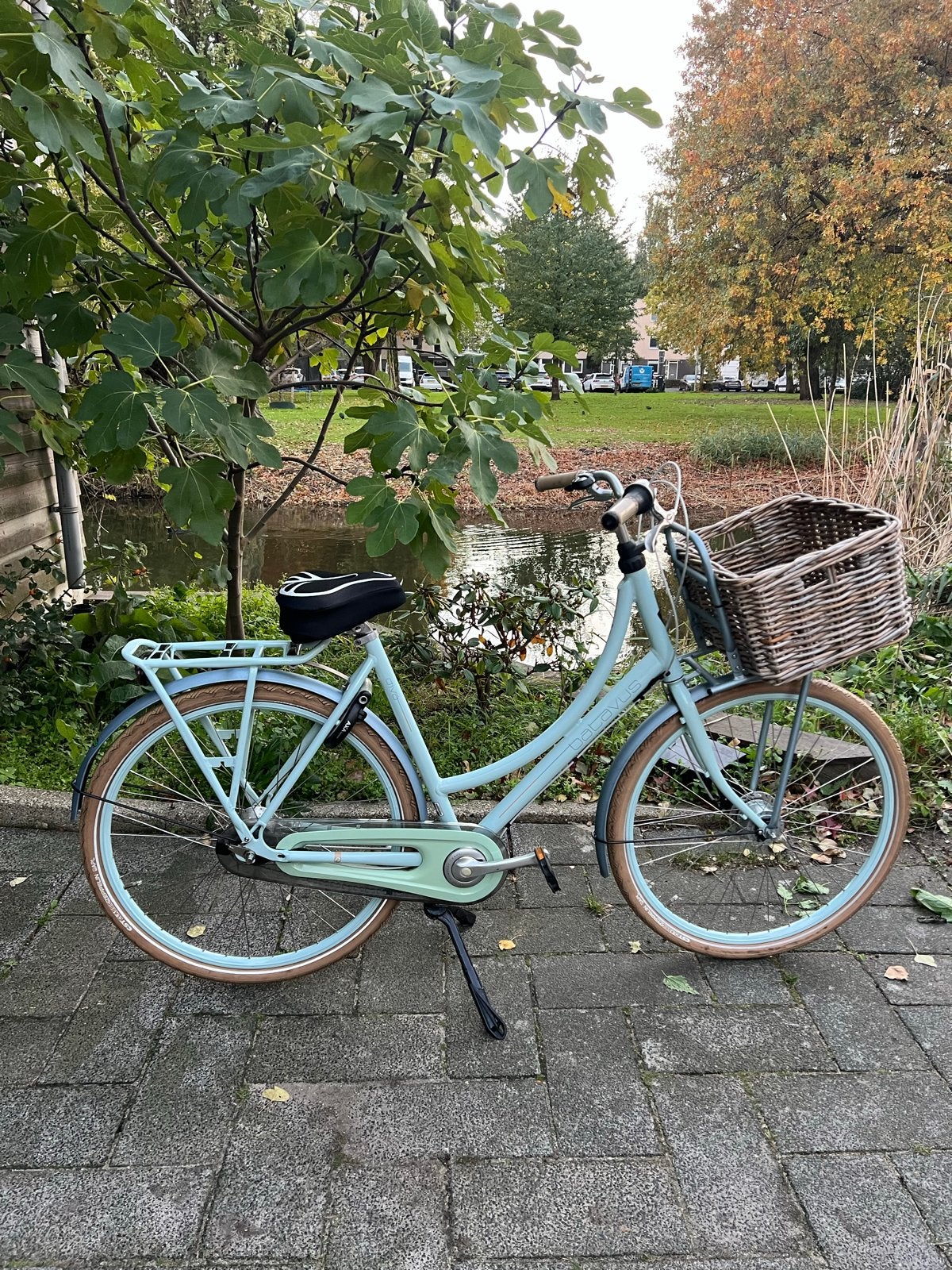 Batavus Diva Transporterfiets - Frame 56 cm 5 Versnellingen, Fietsen en Brommers, Ophalen, Versnellingen, Batavus, 56 cm of meer