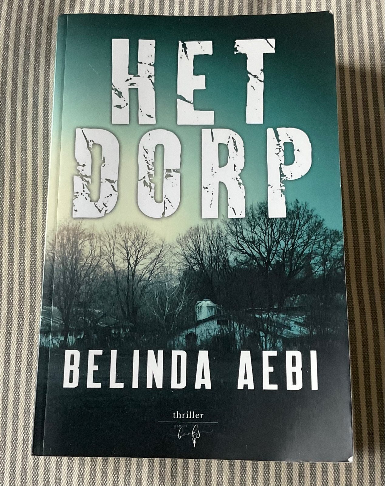 Het Dorp - Belinda Aebi (Thriller), Ophalen of Verzenden, Zo goed als nieuw, Nederland