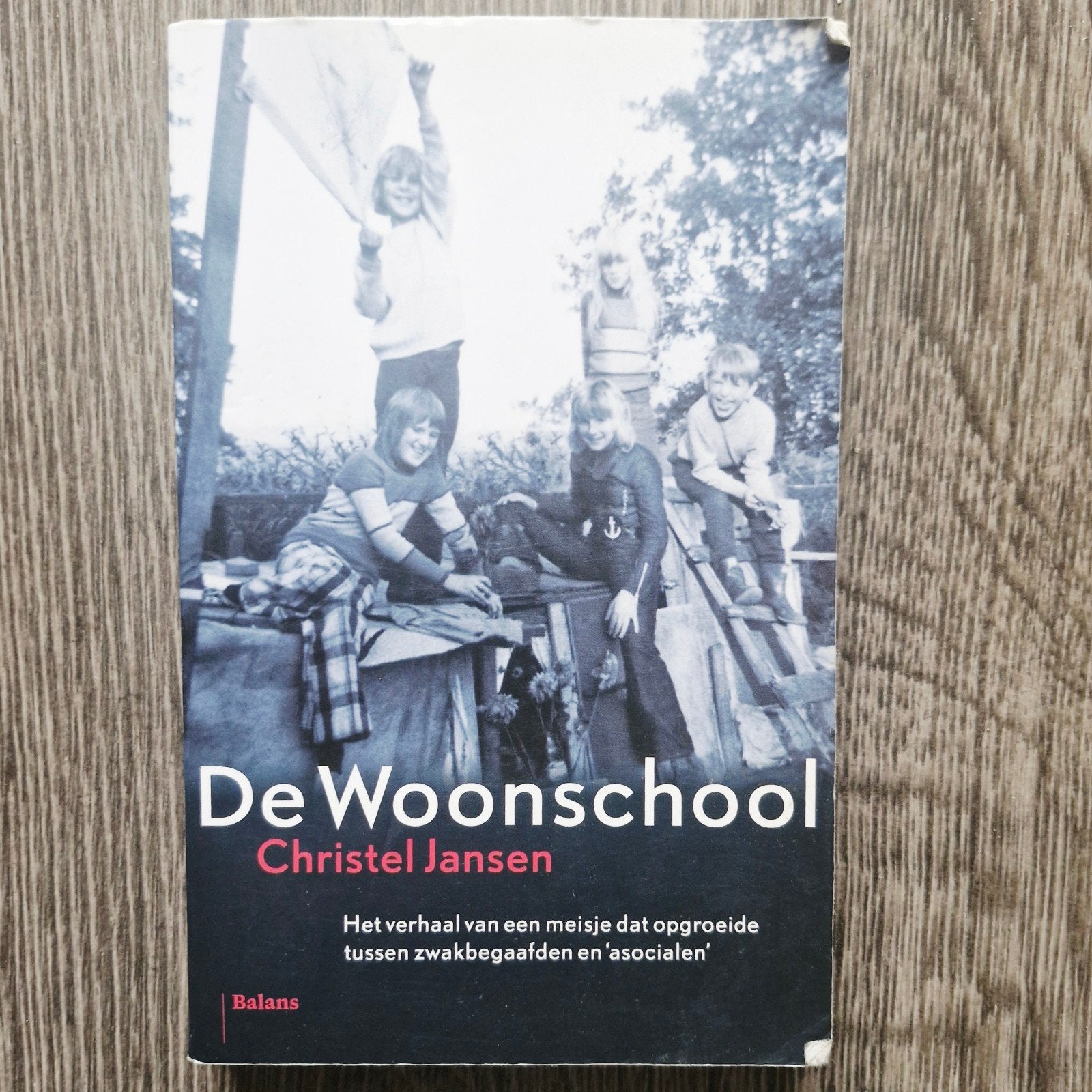 De Woonschool - Christel Jansen (Boek), Boeken, Romans, Gelezen, Nederland, Ophalen of Verzenden