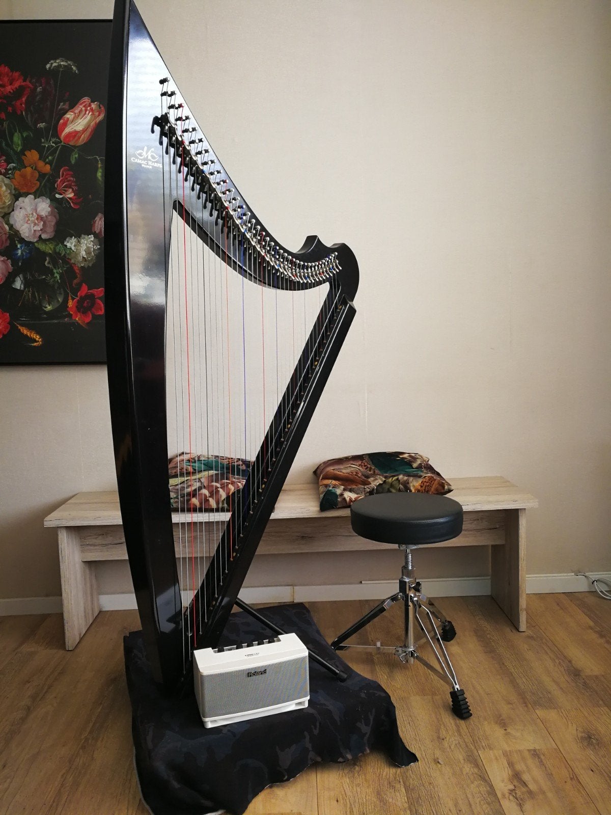 Harp EH-36 met roland box, Ophalen, Gebruikt