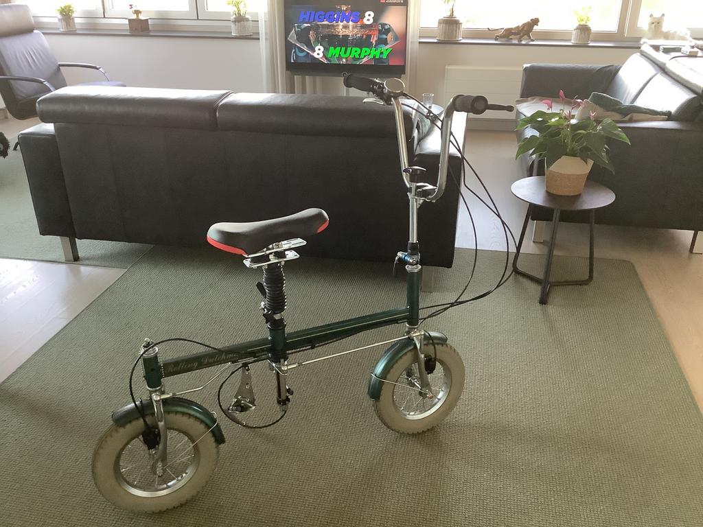 Zgan loopfiets voor volwassenen, Fietsen en Brommers, Fietsen | Vouwfietsen, Ophalen of Verzenden, Zo goed als nieuw, Minder dan 14 inch