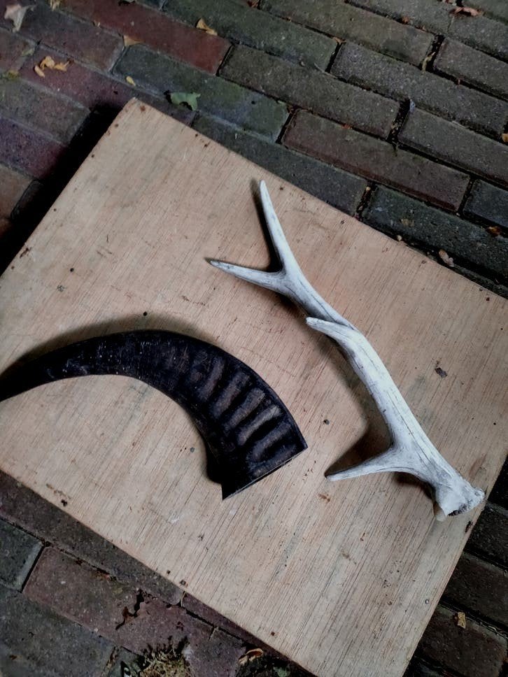 2 x gewei p st tk om op te hangen of lamp van te maken, Ophalen of Verzenden, Hert, Gewei of Kop