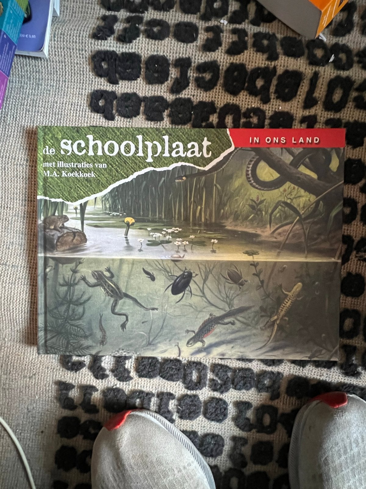 De Schoolplaat - In Ons Land (Natuur & Biologie), Ophalen of Verzenden, Natuur en Biologie