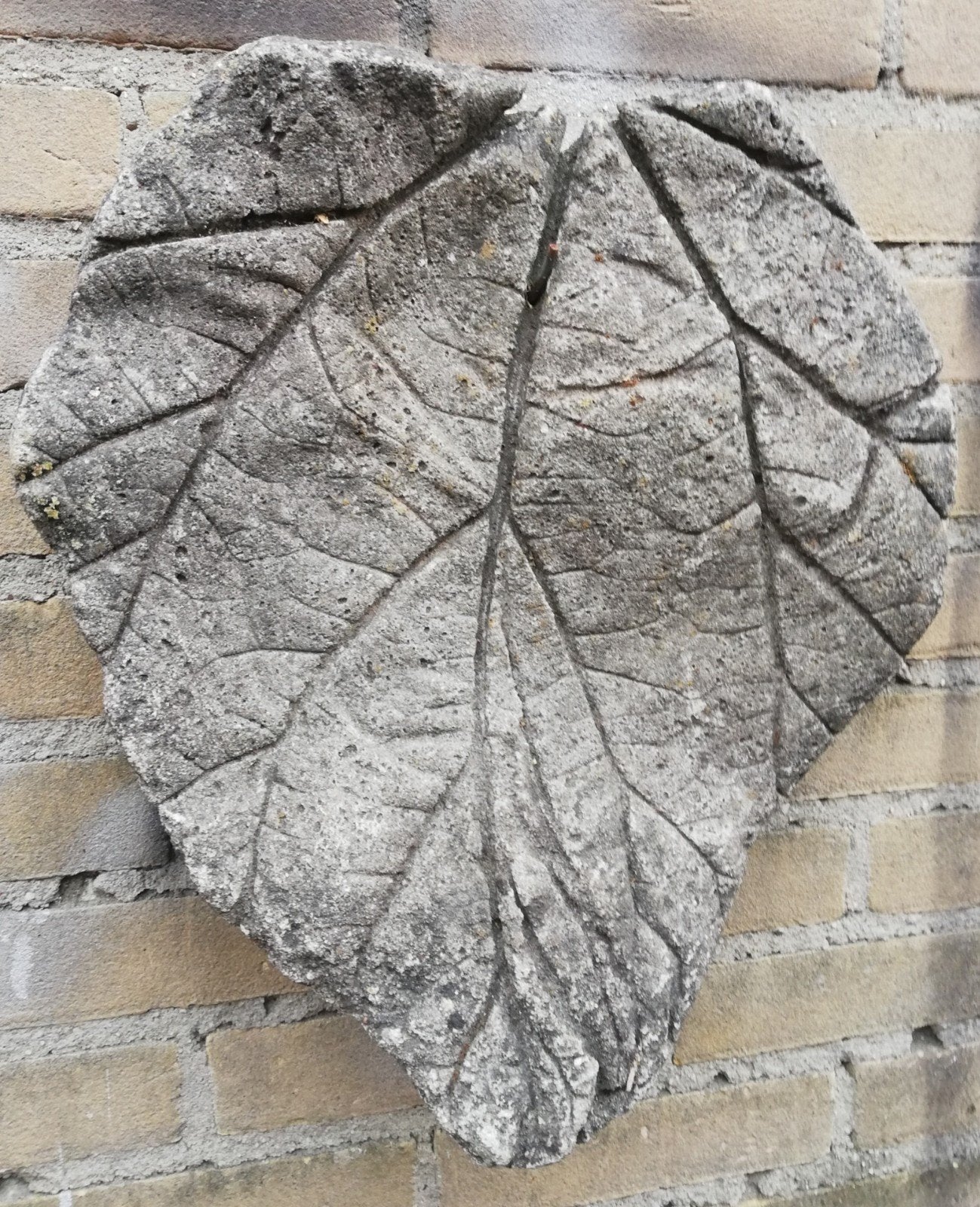 Boomblad. Beton. 37/42 cm., Tuin en Terras, Ophalen